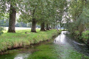 LE HONLIEU-pas-de-calais