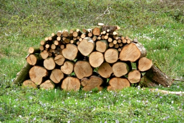 ALQUINES - LE MONT VERT-pas-de-calais