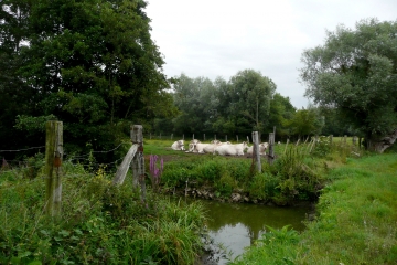 ANDRES - DU MARAIS AUX CHAMPS-pas-de-calais