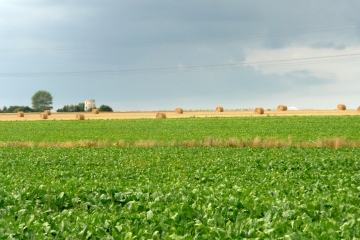 ANDRES - DU MARAIS AUX CHAMPS-pas-de-calais