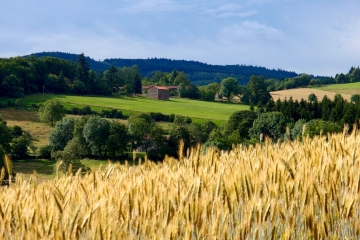 CUNLHAT - PLATEAU DE LA POINTE DU JOUR-puy-de-dome