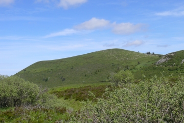FONTAINE DU BERGER - PUY DE COME-puy-de-dome