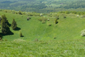 FONTAINE DU BERGER - PUY DE COME-puy-de-dome