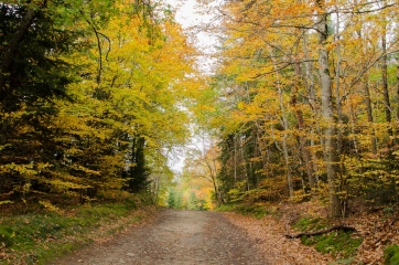 MOULIN DE LA RODE-puy-de-dome