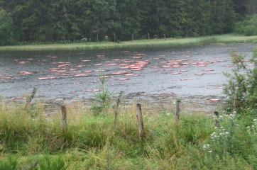 BESSE-EN-CHANDESSE-puy-de-dome