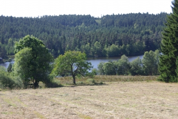 FOURNOLS - PUY DU SAPT-puy-de-dome