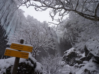 DE MONT-DORE A LA GRANDE CASCADE-puy-de-dome