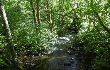 TOUR DU VOLCAN CANTALIEN - ETAPE 2 - EGLISENEUVE D ENTRAIGUES - LUGARDE-puy-de-dome