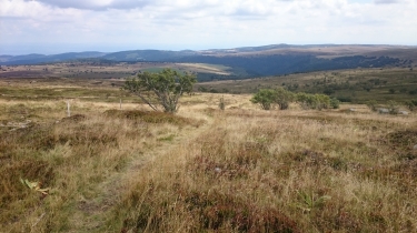 BALADE DE 20KM DU COL DES SUPERS  AUX RADARS DE PIERRE SUR HAUTE-puy-de-dome