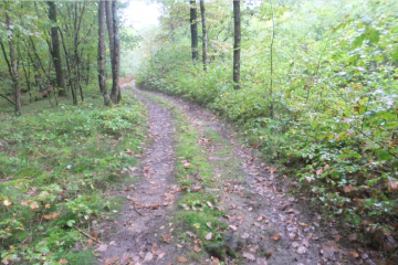 RAVEL (1)-puy-de-dome