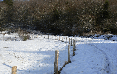 COL DE LA CROIX ST ROBERT-puy-de-dome