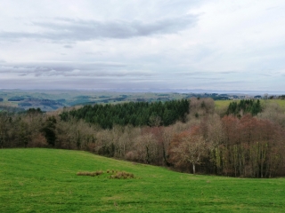 OLMET - CHATEAU DE LA FAYE-puy-de-dome