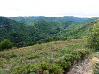 TOUR DE BESSE ET GORGES DE LEYVAUX-puy-de-dome