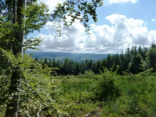 AUZAT- ESTEIL-puy-de-dome