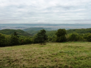 JUMEAUX - ST-JEAN-ST-GERVAIS (2)-puy-de-dome