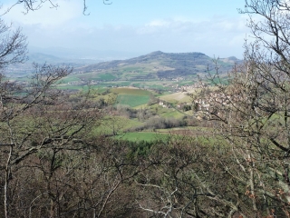 PIGNOLS - LA CHAUX - MONTGROS - PUY DES GARDELLES-puy-de-dome