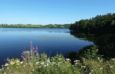 LAC DE LA CREGUT-puy-de-dome