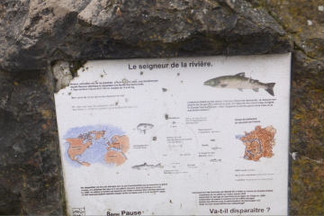 DALLET (2)-puy-de-dome