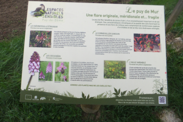 DALLET (2)-puy-de-dome