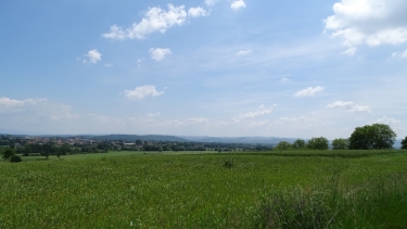 LEZOUX - ETANG DU COMMANDEUR-puy-de-dome