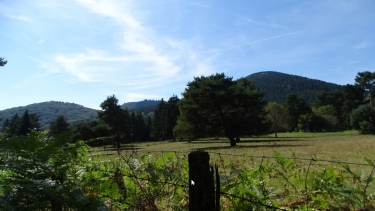 LASCHAMPS - TOUR DU PUY DE LA VACHE-puy-de-dome