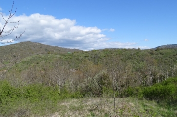 MONTAIGUT-LE-BLANC - CHATEAU DE CHAMPEIX-puy-de-dome