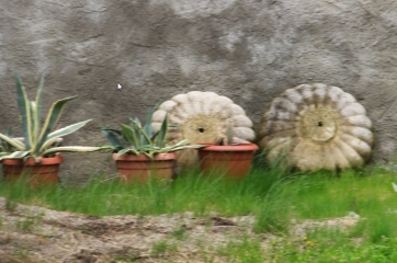 GLAINE-MONTAIGUT-puy-de-dome