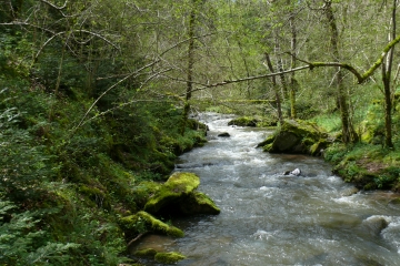 ST-SATURNIN - LA MONNE-puy-de-dome