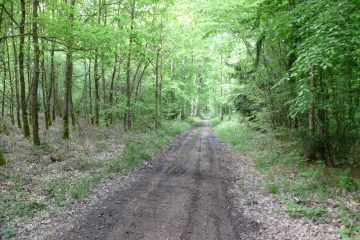 ST-SYLVESTRE-PRAGOULIN-puy-de-dome
