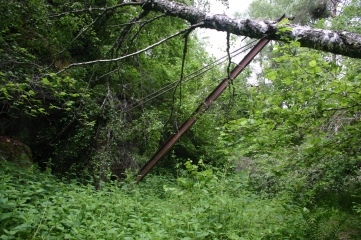 LE PUY DES GOULES-puy-de-dome
