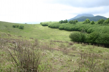 LE PUY DES GOULES-puy-de-dome