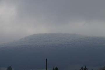 MIREFLEURS-puy-de-dome