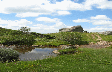 CIRQUE DE LA FONTAINE SALEE-puy-de-dome