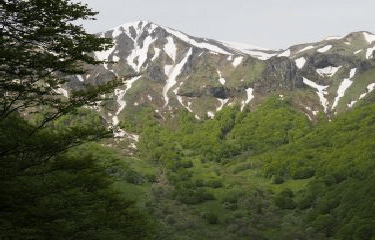 CRETES DE LA VALLEE DE CHAUDEFOUR-puy-de-dome