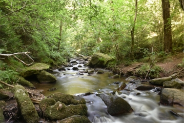 PUY-DE-DOME - OLLOIX - GORGES DE LA MONNE-puy-de-dome
