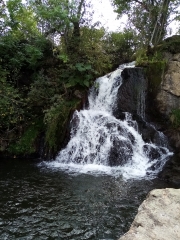 LA GODIVELLE QLMB-puy-de-dome