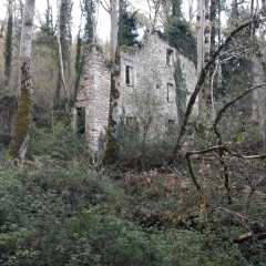 LA VALLEE DU MADET-puy-de-dome
