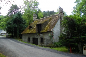 LAC CHAMBON - SUC DU COQ-puy-de-dome