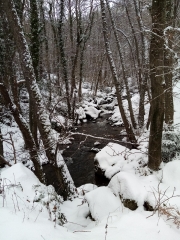 LA PRADE - MONNE - COURNOL - RANDOL-puy-de-dome