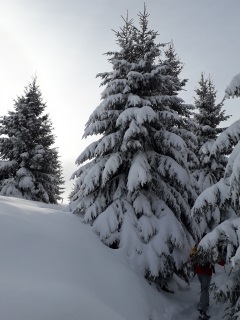 RAQUETTES A PESSADES-puy-de-dome