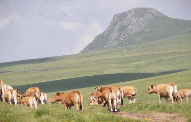 BANNE D ORDANCHE-puy-de-dome