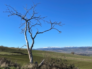 PUY-DE-DOME - PARENT - LA CITADELLE DE BURON-puy-de-dome