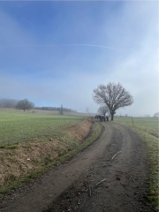 PUY-DE-DOME - MANGLIEU - PUY DE CéVELOUX-puy-de-dome