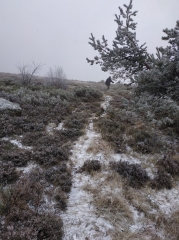 DU PRE DAVAL A LA CROIX DE FOSSAT-puy-de-dome