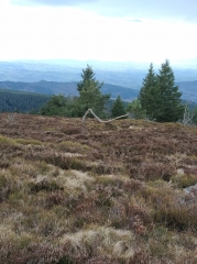 COL DU BEAL - COL DE LA CHAMBOITE-puy-de-dome