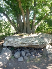 SAILLANT 63 - CASCADE LA COUZE CHAMBON