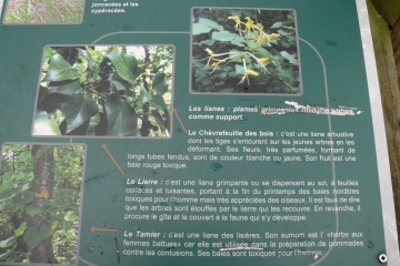 CHAMALIERES (2)-puy-de-dome