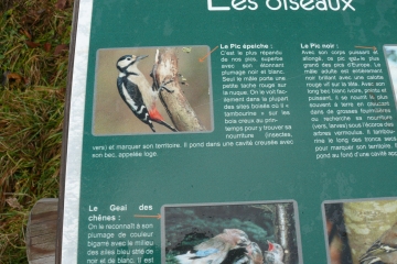 CHAMALIERES (2)-puy-de-dome