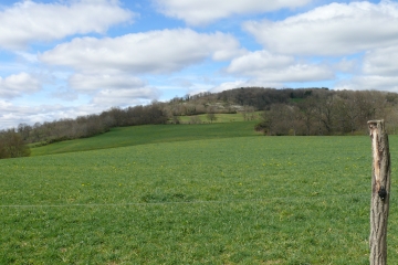 CHAPDES-BEAUFORT - ETANG GRAND-puy-de-dome