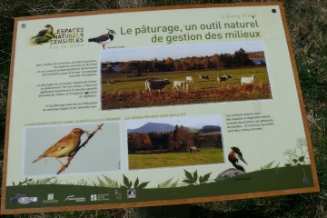 CHAPDES-BEAUFORT - ETANG GRAND-puy-de-dome